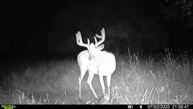 016579000438700-59-3-07022025215641-SYFW06369