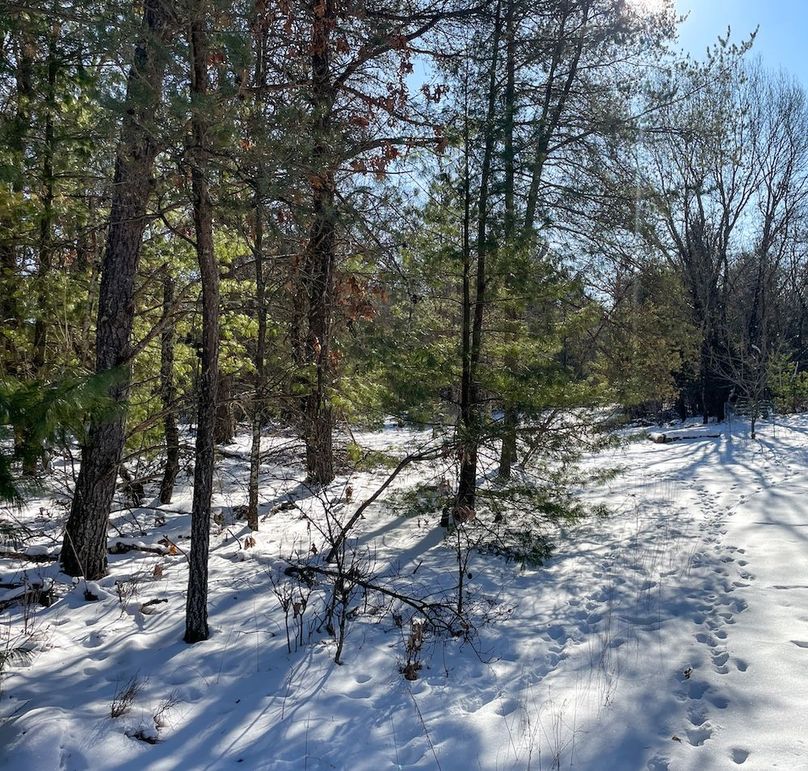 Adams 25, Nessler -38