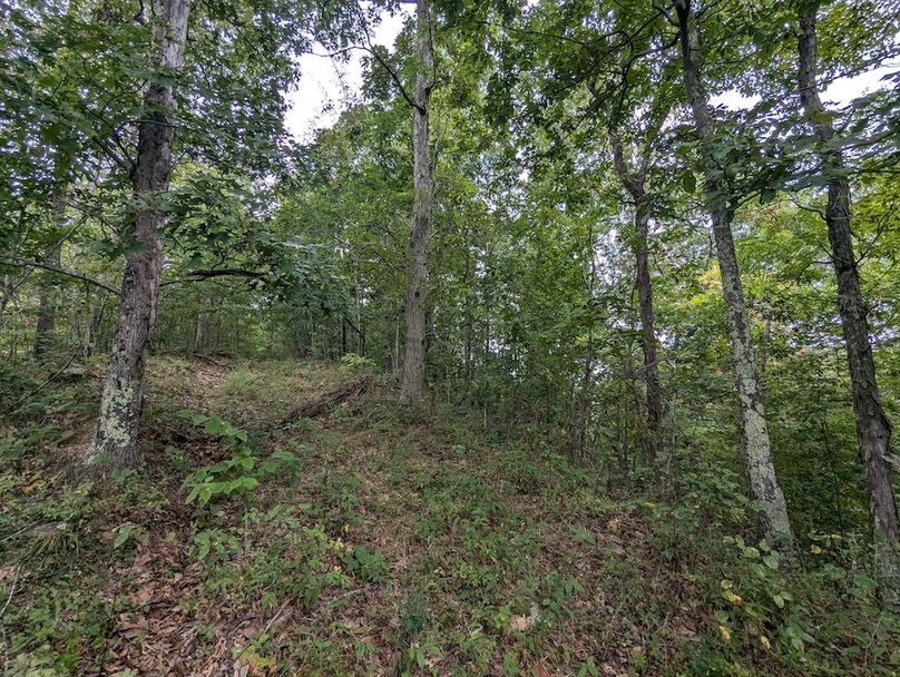 PXL_20240819_151126975