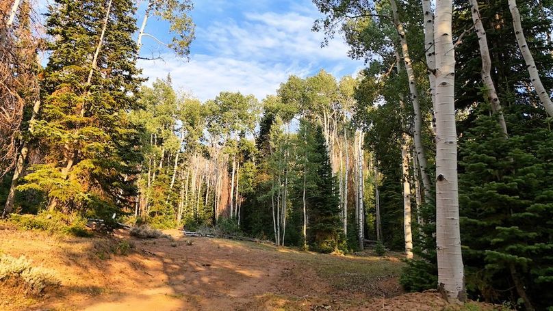 DJI_20250726191637_0338_D