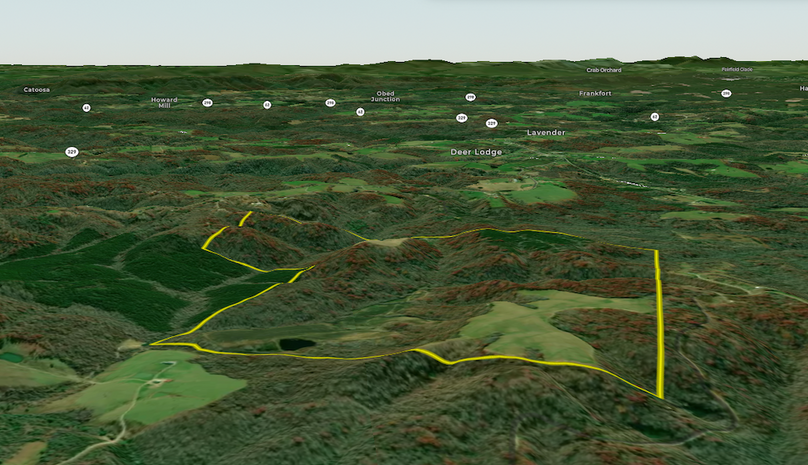 Screenshot 2025-08-04 at 11.30.42 AM