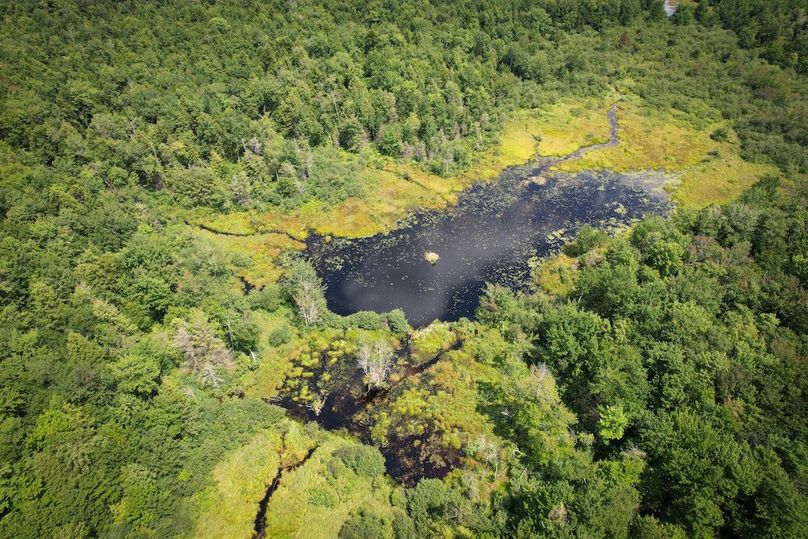 Oswego_100_Roof_Photos_27