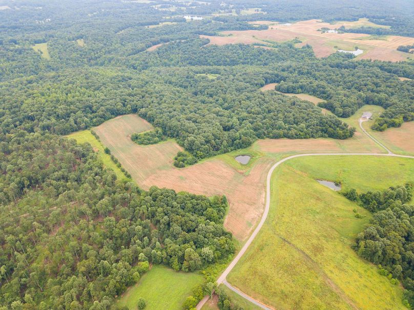 MooreHollow-9