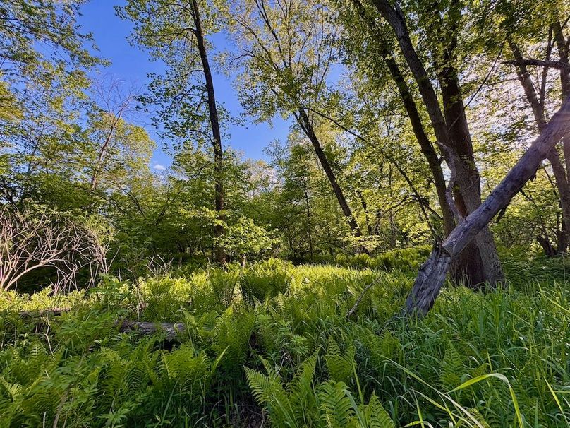 La Crosse 56.17 - 23