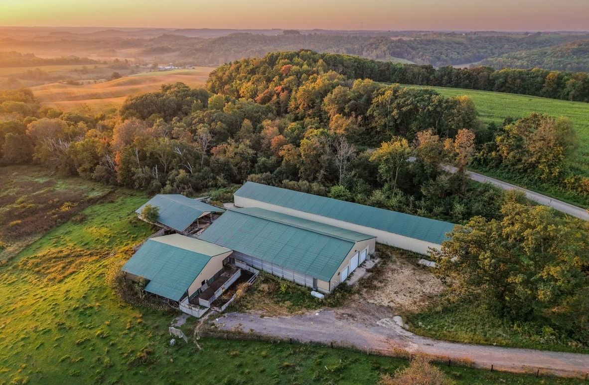 Monroe 5.31-01 Large