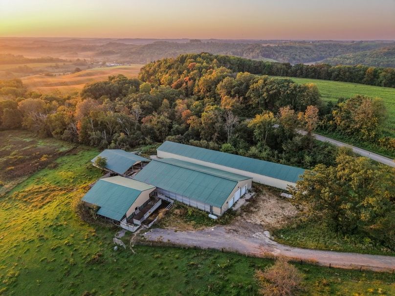 Monroe 5.31-01 Large