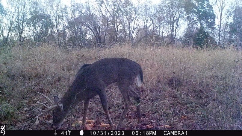 trail cam3