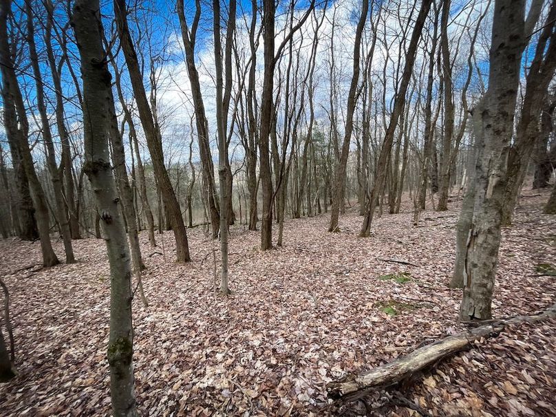 Tioga__NY_109.7_Burris_Photos_39