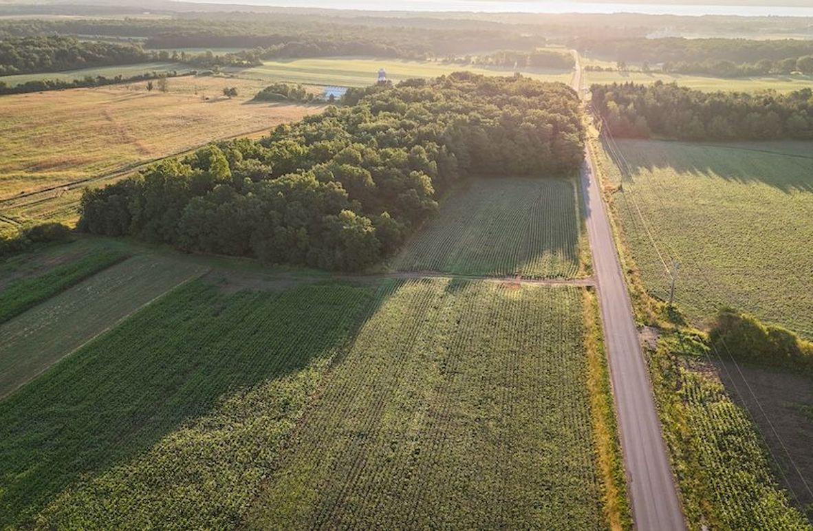 Copy of Wood Tract 1 Photo 12