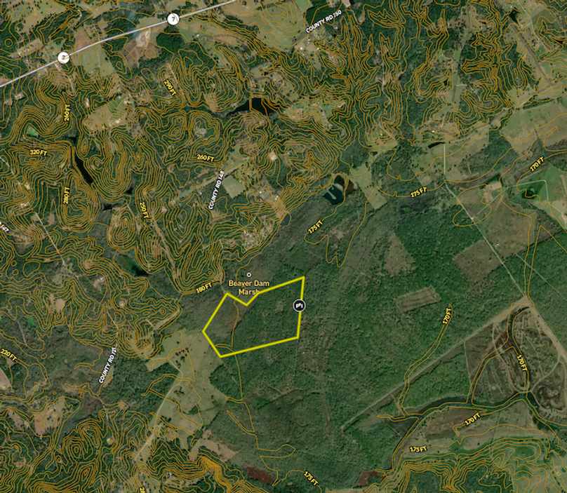 Screenshot 2025-09-09 at 10.19.01 AM