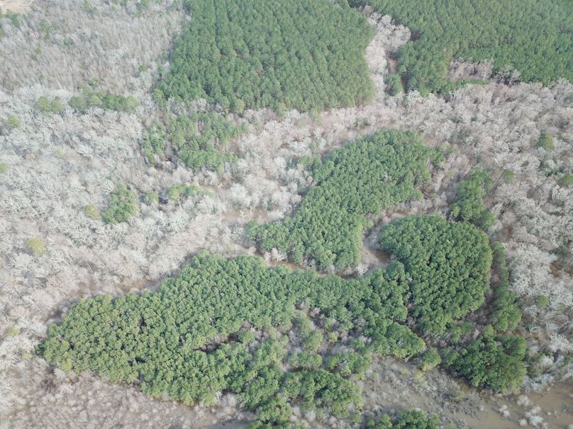 DJI_0545