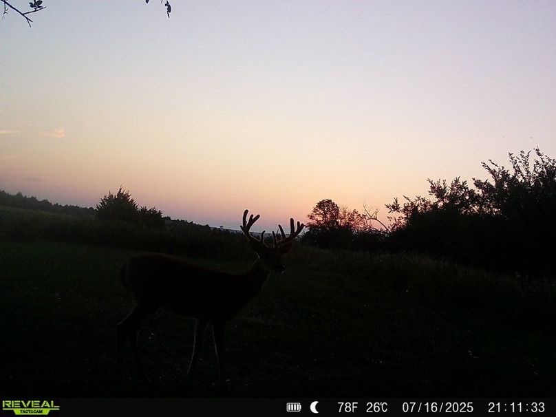 Copy of 868032069649766-100-2-07162025211132-W1003376