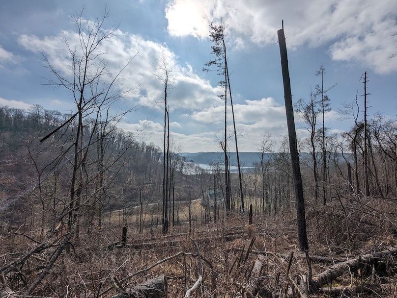 PXL_20240223_160335883