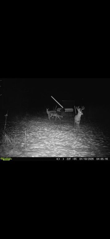 Screenshot 2026-02-27 at 3.57.38 PM