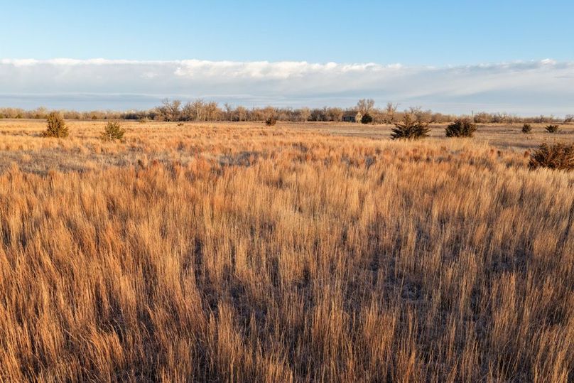 DJI_20260311082714_0541_D