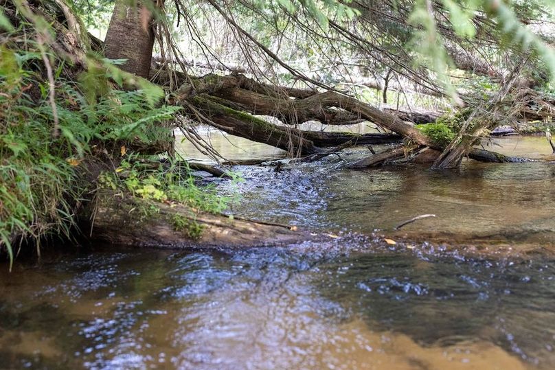 Mackinac 320 Copenhaver-65