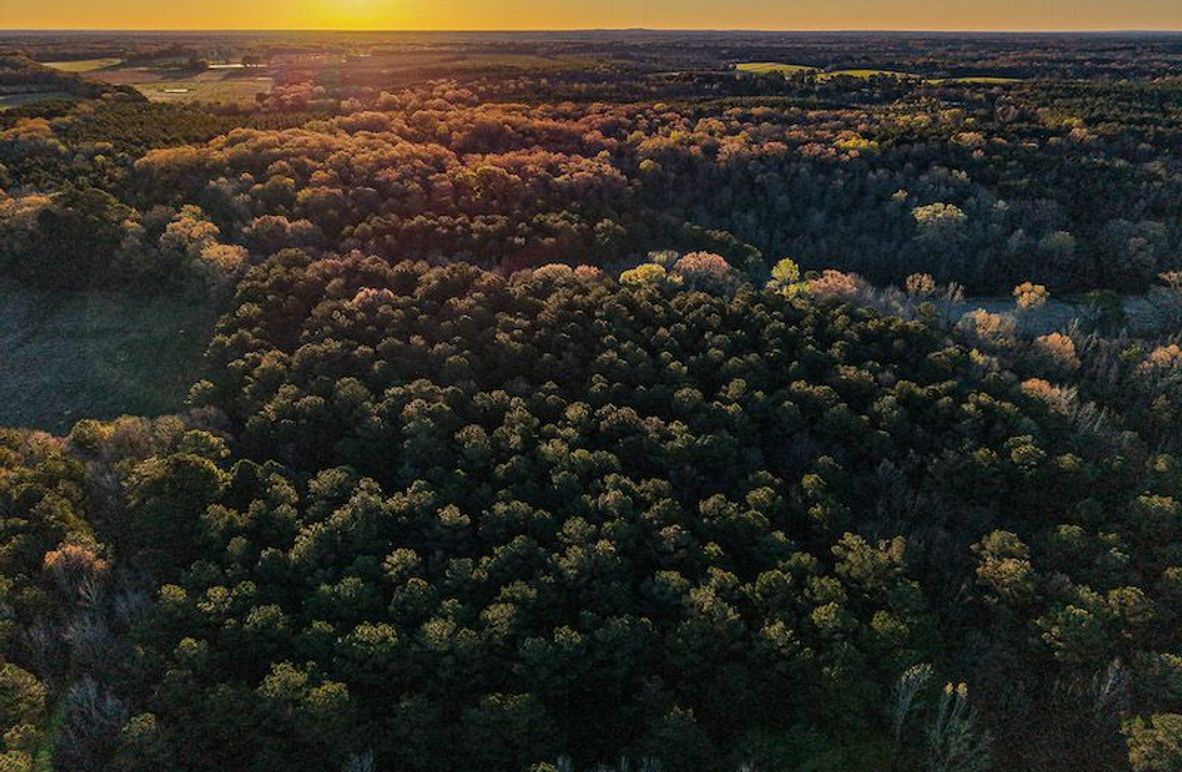 Chickasaw Tract 1-03