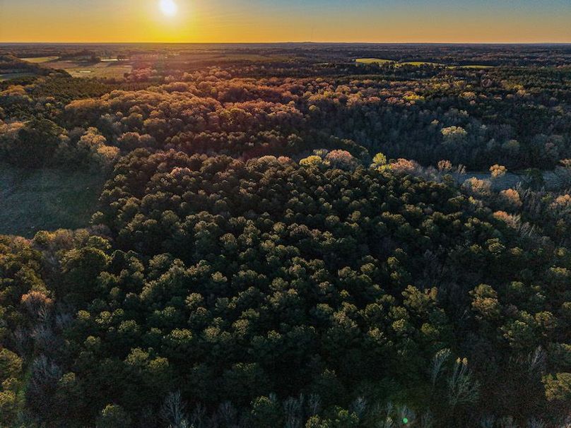 Chickasaw Tract 1-03