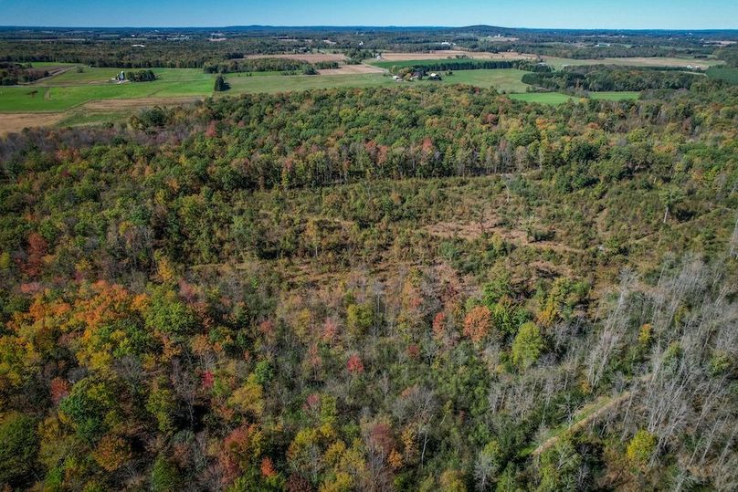 Wood 41.451, Collins -40