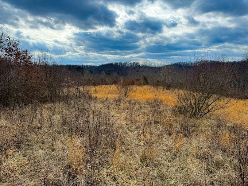 Doddridge, WV 79.08 AC Adams-62