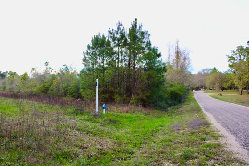 F7E43852-420B-4156-AA3A-24F744C4E465_1_105_c