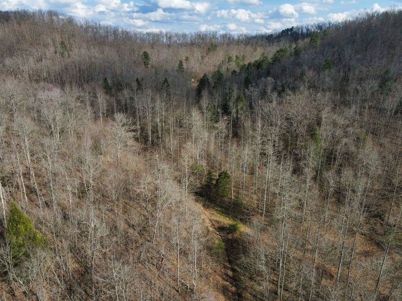017 main trail leading up towards the right hollow split-2