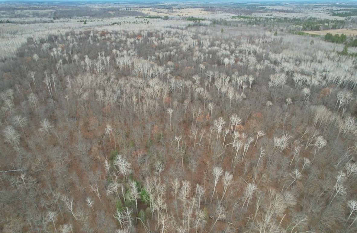 dji_fly_20251104_160630_999_1762294542225_photo