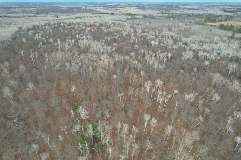 dji_fly_20251104_160630_999_1762294542225_photo