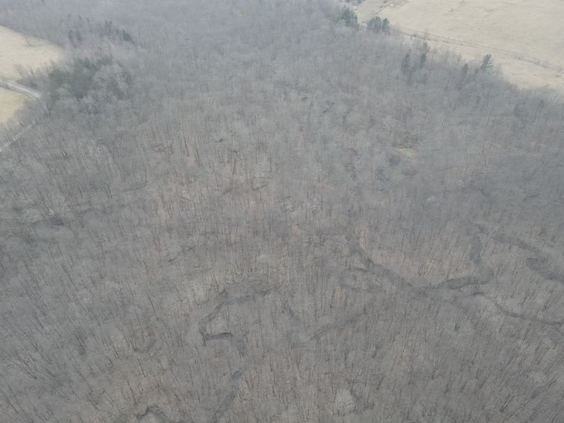 dji_fly_20230217_154754_5_1676666891058_photo