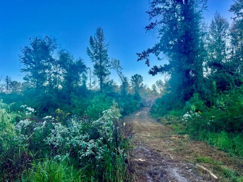 5B1A66B7-B85E-475B-8F8A-0EF4709F054B_1_105_c