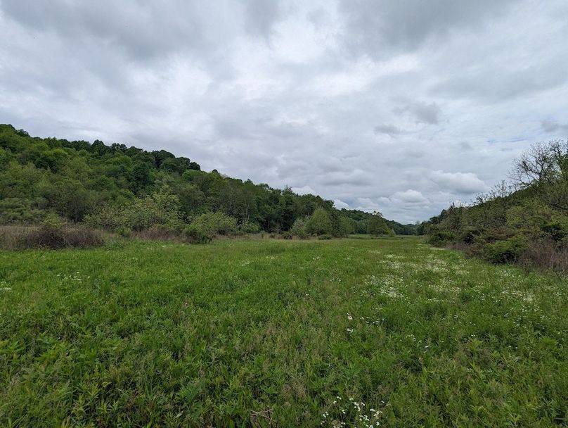 PXL_20240515_154553418