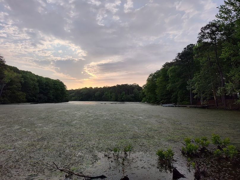 IMG_20260425_065942199_HDR