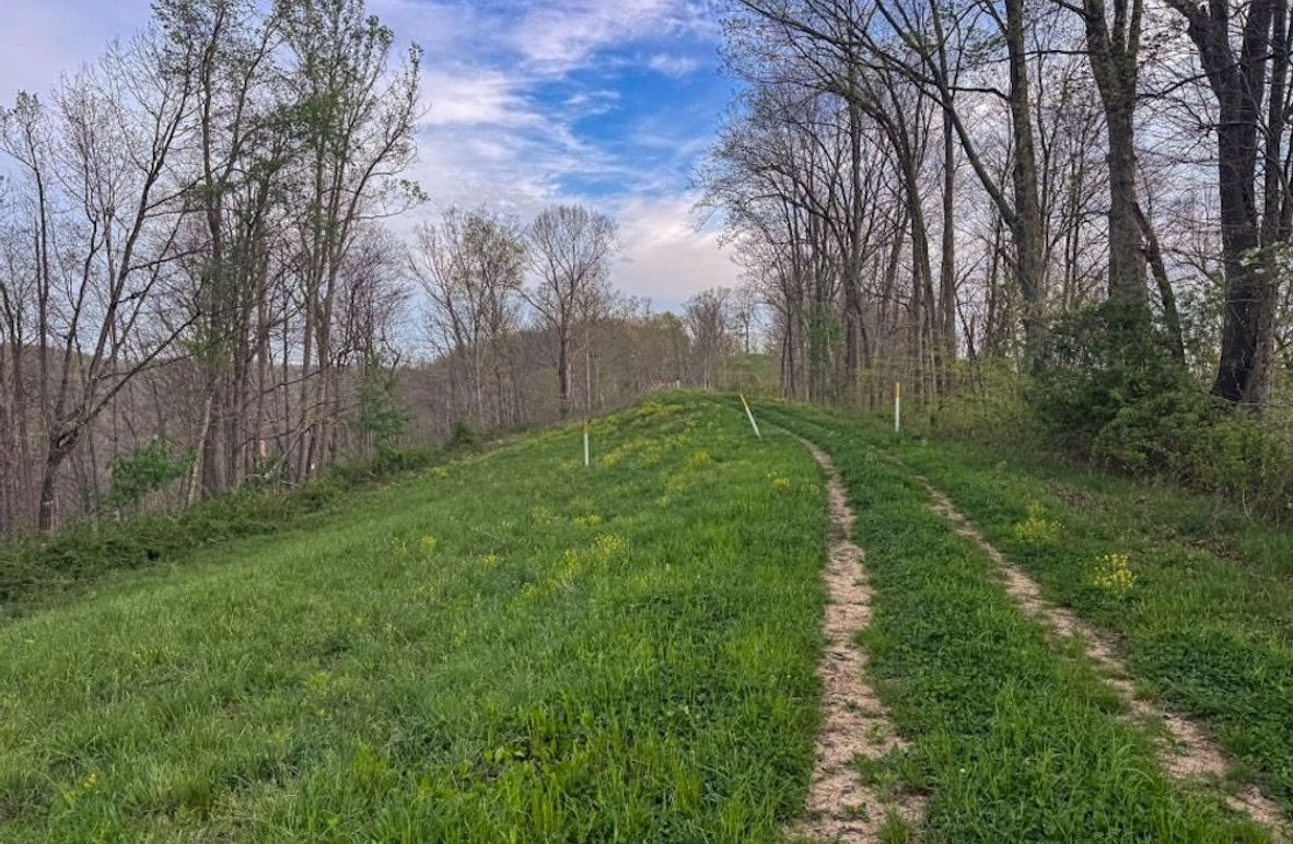 Screenshot 2026-04-21 at 11.34.55 AM