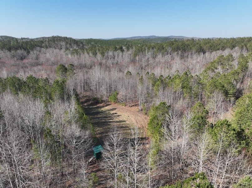 DJI_0938
