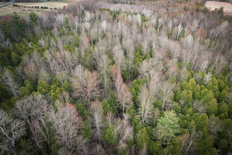 StLawrence_142.7_Bosse_Photos_56