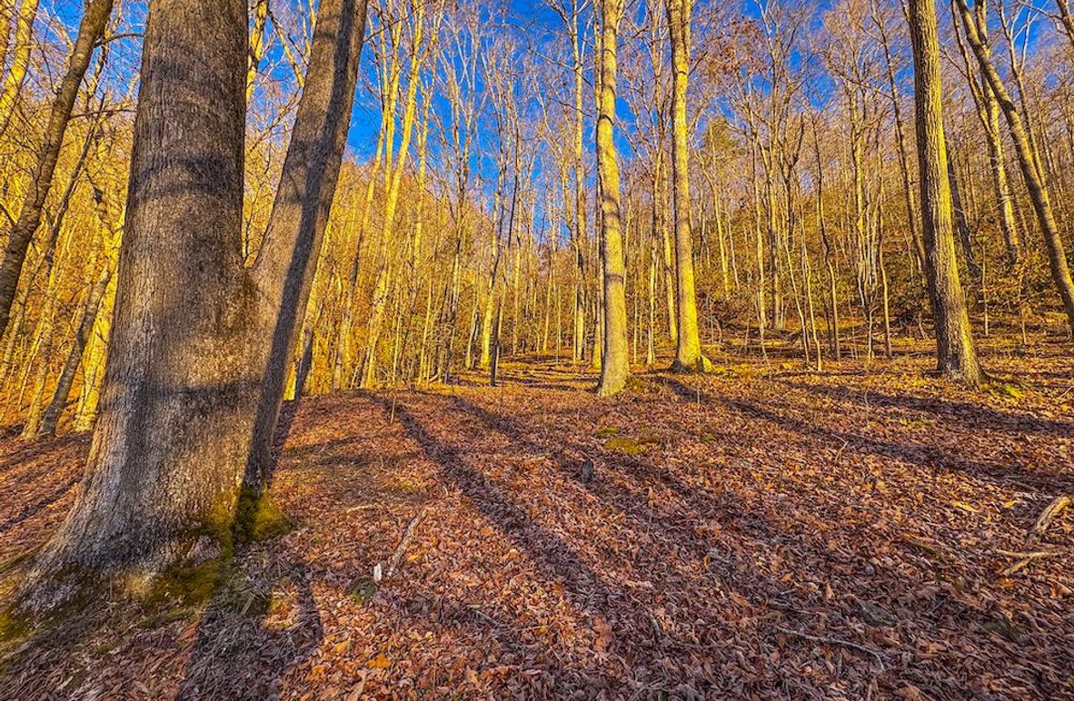 Calhoun, WV 136 AC Szegi-234