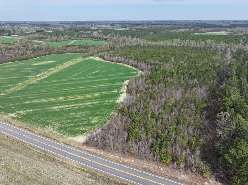 DJI_20260303063831_0554_D