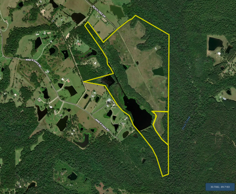 Screen Shot 2023-02-08 at 11.35.21 PM