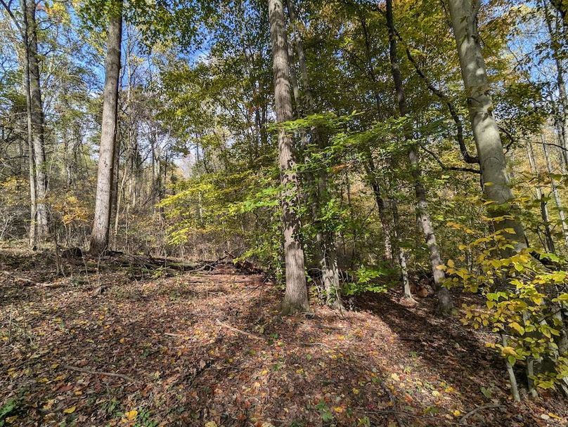 PXL_20251101_183037548