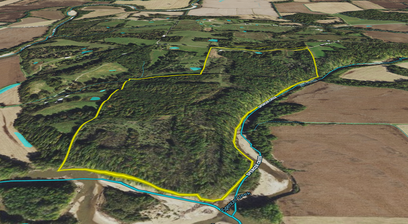 Screen Shot 2024-09-23 at 12.46.53 PM