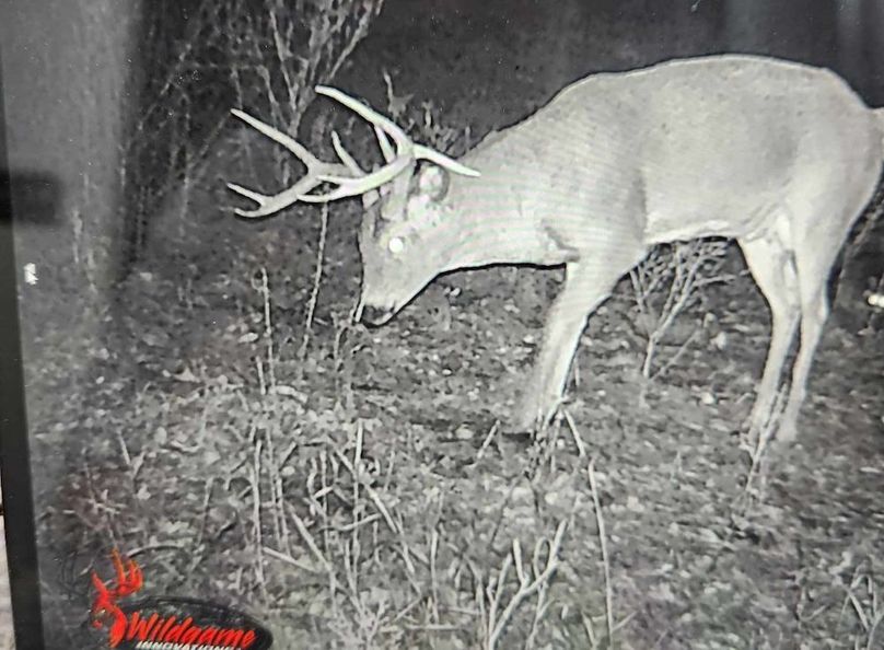 received_1548942656060494