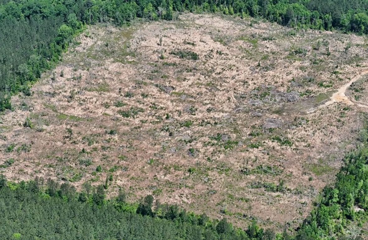 DJI_20250504003618_0461_D