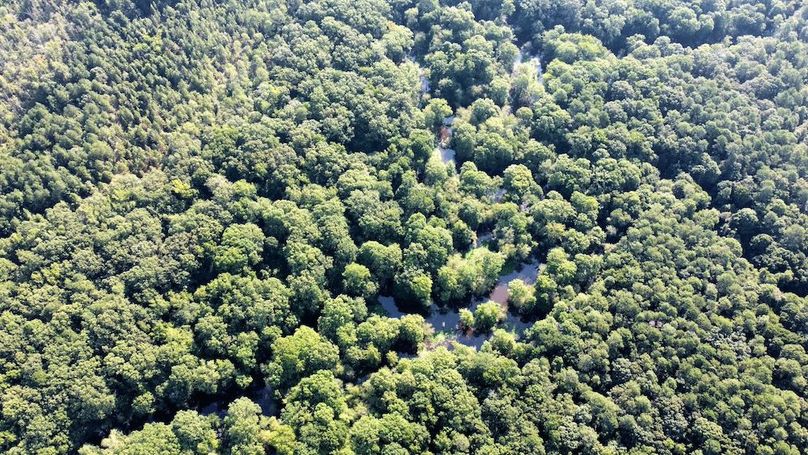 dji_fly_20250726_090836_503_1753535335778_photo_optimized