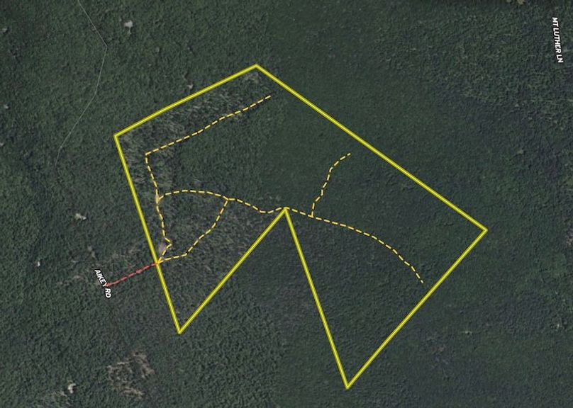 Aerial 1