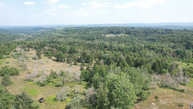 dji_fly_20250804_154614_498_1754355800839_photo