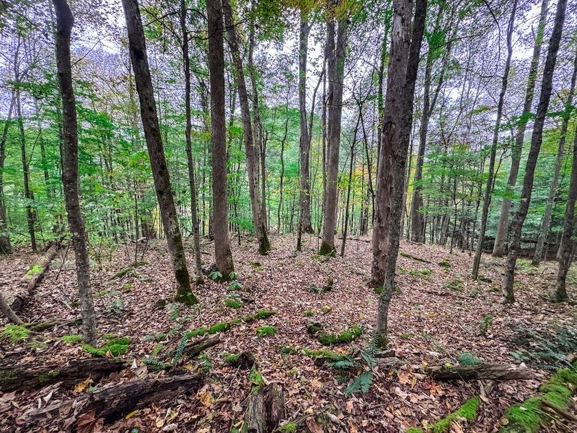 Webster, WV 13.8 AC Heldreth-09