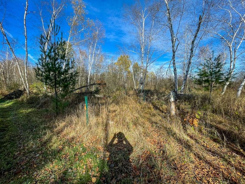 Clark 24.75 Winkel -23