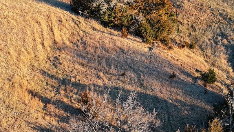 DJI_20260325075830_0130_D