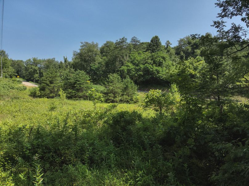 32. Open Field (18acres)