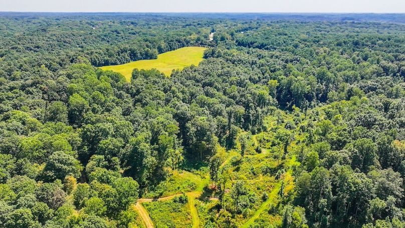 Copy of dji_fly_20250910_133020_0479_1757525868135_photo